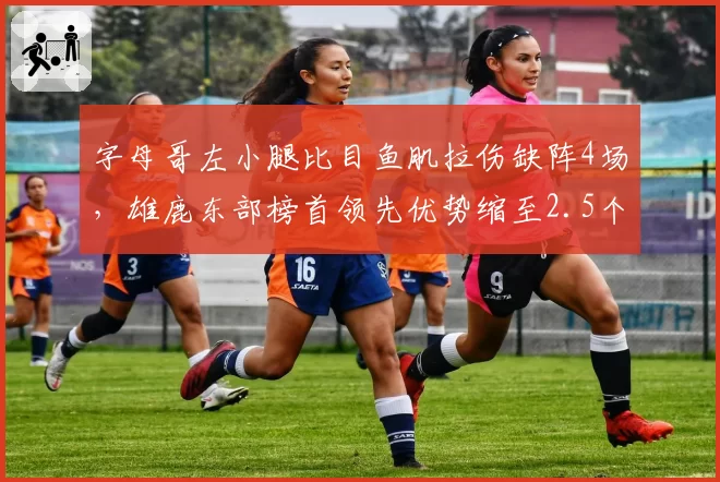字母哥左小腿比目鱼肌拉伤缺阵4场,雄鹿东部榜首领先优势缩至2.5个胜场
