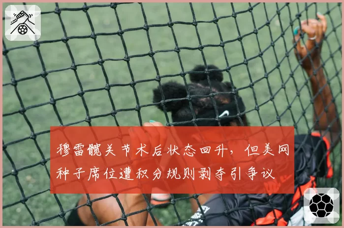 穆雷髋关节术后状态回升，但美网种子席位遭积分规则剥夺引争议